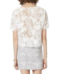 Maje Luxuriant Sheer Embroidered Organza Top