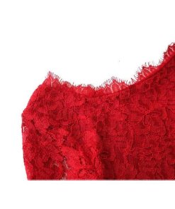 Diane Von Furstenverg Zarita red Lace Hourglass Dress