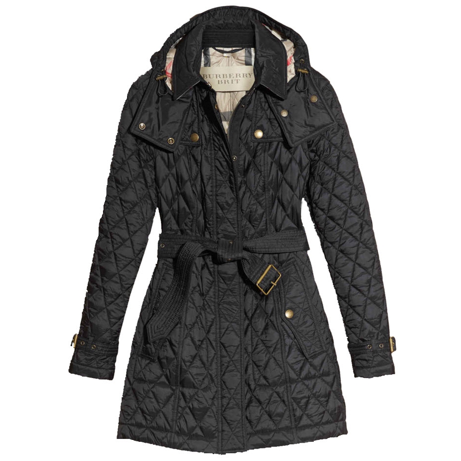 Burberry Brit Finsbridge Long Quilted Coat – evaChic