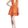 Alice + Olivia Mollie Fit & Flare Brocade Dress