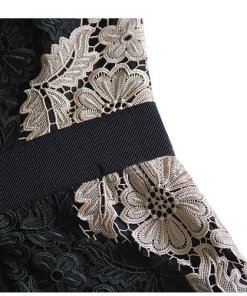 Alice + Olivia Patrice A-Line Lace Dress