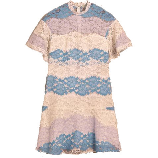Burberry Flutter Sleeve Floral Lace Dress  evaChic