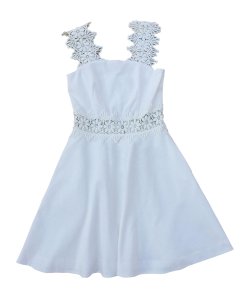 Ted Baker London Monaa Lace Trim A-Line Dress