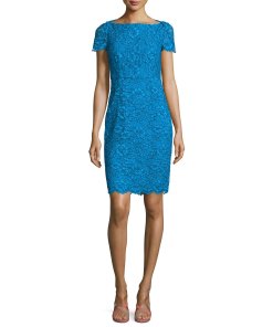 Diane von Furstenberg Ainsley Cap Sleeve Lace Sheath Dress