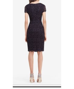 Diane von Furstenberg Ainsley Cap Sleeve Lace Sheath Dress