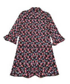 Whistles Apple Print Shirt Dress