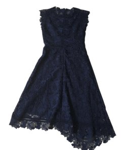 Reiss Lucy Asymmetric Hem Lace Midi Dress