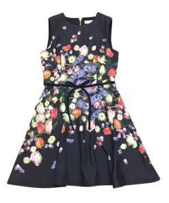 Ted Baker Izobela Kensington Floral Bow Detail Dress