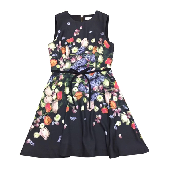 Ted Baker Izobela Kensington Floral Bow Detail Dress