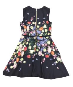 Ted Baker Izobela Kensington Floral Bow Detail Dress