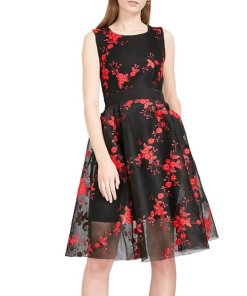 Maje Rudio Embroidered Tulle Dress