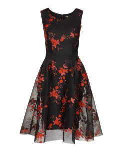 Maje Rudio Embroidered Tulle Dress