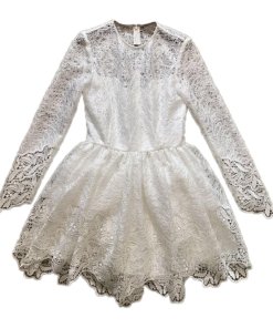 Alexis Malin Long-Sleeve Lace Mini Dress