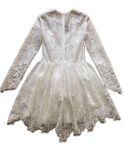 Alexis Malin Long-Sleeve Lace Mini Dress