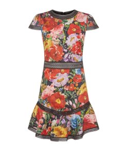 Alice + Olivia Rapunzel Lace-Trim Floral Print Dress