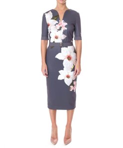 Ted Baker Bisslee Chatsworth Floral Print Bodycon Dress