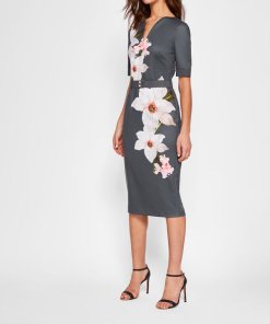 Ted Baker Bisslee Chatsworth Floral Print Bodycon Dress