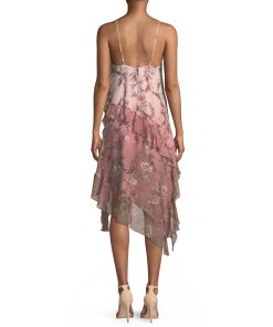 Haute Hippie Robbers Roost A-Line Ruffle Rose-Print Chiffon Dress