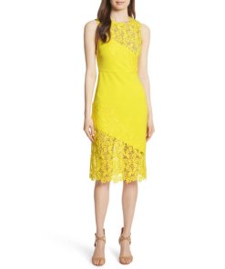 Alice + Olivia Margy Floral Lace Sleeveless Dress