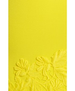Alice + Olivia Margy Floral Lace Sleeveless Dress