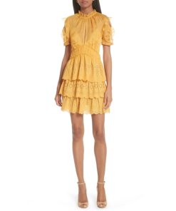 Self-Portrait Embroidered Chiffon Tiered Mini Dress