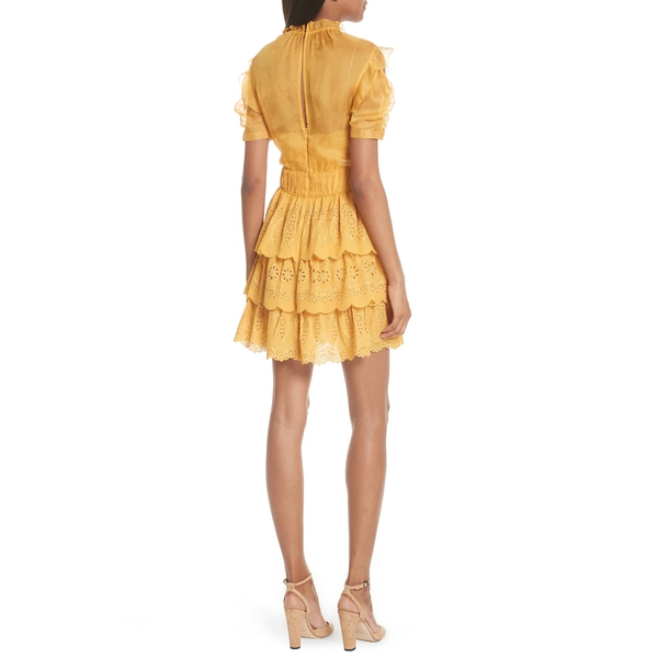 Self-Portrait Embroidered Chiffon Tiered Mini Dress  evaChic