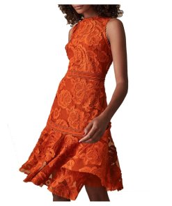 Reiss Adia Lace Fit & Flare Dress