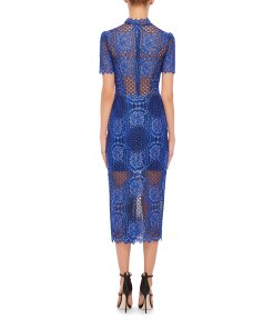 Alexis Delila Lace Sheath Dress