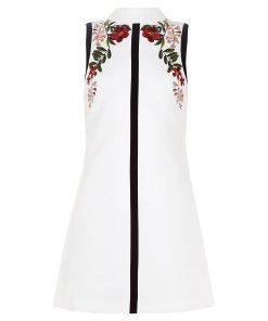 Ted Baker Aimmiid Kirstenbosch Embroidered Dress